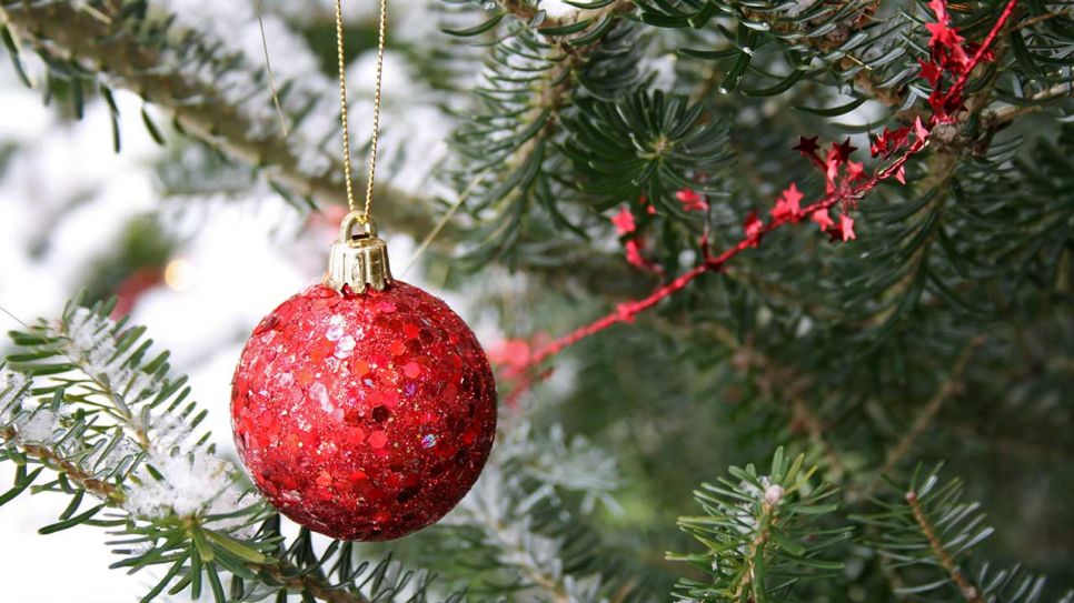 Ein mit einer roten Kugel behängter Zweig eines Weihnachtsbaums (Bild: colourbox.com)