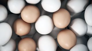 Braune Eier zwischen weißen Eiern (Quelle: IMAGO/Zoonar.com/CigdemSimsek)