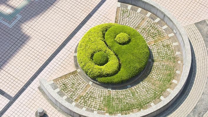 Symbolbild: Ein Taijitu, Yin-Yang-Symbol, aus Sträuchern geformt, traditionelle chinesische Kultur. (Quelle: dpa/Lawrence Lu)