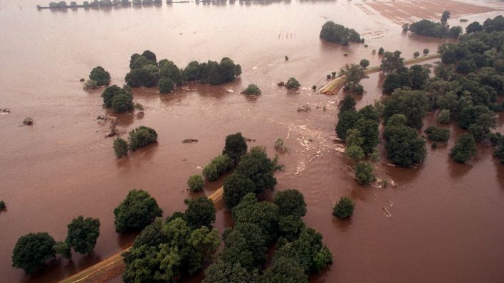 Luftaufnahme vom 26.07.1997 des bei Aurith auf einer Länge von etwa 400 Metern gebrochenen Deiches. (Quelle: dpa/Jens Büttner)