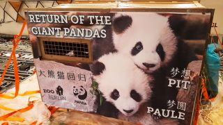 Transportbox von Pandas Pit und Paule. (Quelle: Zoo Berlin)