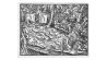 Wolfsjagd / Holzschnitt von J.Amman Jagd / Woelfe: - Hetzjagd auf Woelfe. - Holzschnitt von Jost Amman (1539-1591). Aus: Neuw Jag unnd Weydwerck Buch (..), Frankfurt a.M. (Johann Feyerabend) 1582. (Quelle: akg-images)