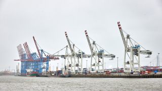 Blaue und weiÃe KrÃ¤ne stehen am Hafenterminal Tollerort in Hamburg.