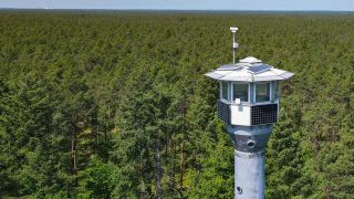 Ein Feuerwachturm nahe Briesen (Mark)