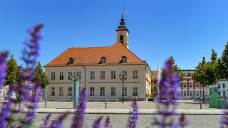 Der Marktplatz mit dem Rathaus von AngermÃ¼nde (Bild: dpa / Patrick Pleul)