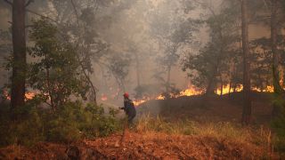 Waldbrand in Griechenland