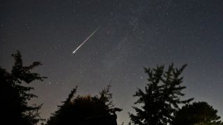 Ein Perseidenmeteor zieht Ã¼ber den Himmel (Bild. picture alliance/dpa/Marco A. Ludwig)