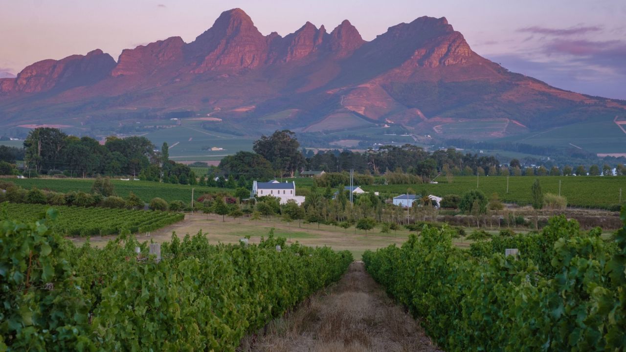 Champagner aus Südafrika