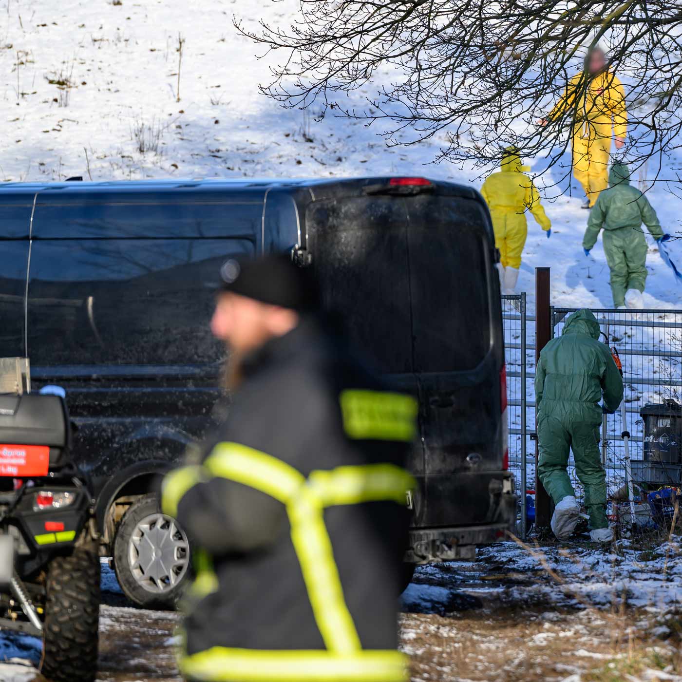 MKS: Brandenburgs Bauern hoffen auf Normalisierung