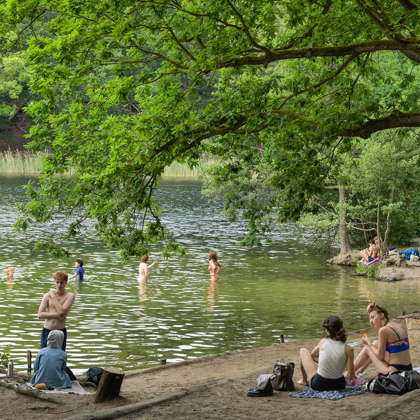 radio3 Klimagespräch: Wie verhält man sich richtig in Badeseen in Berlin und Brandenburg?