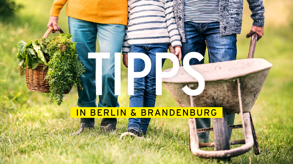 DER TAG - Tipps in Berlin & Brandenburg - Offene Gärten (Quelle: rbb/Colourbox)
