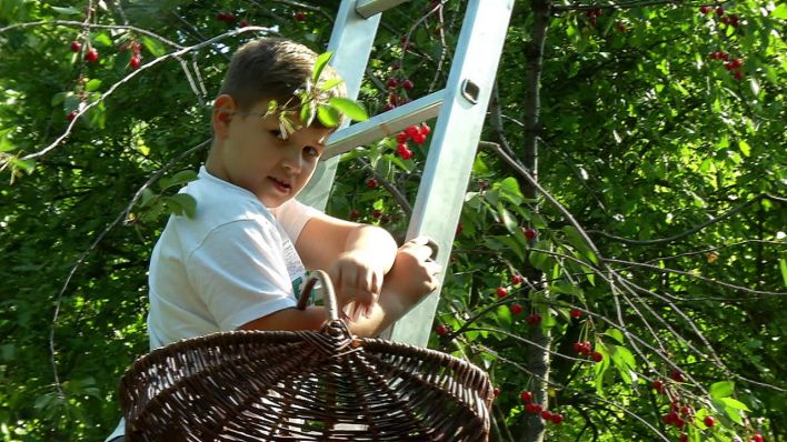 Der Comenius Garten Das Seelenparadies Von Neukolln Rbb