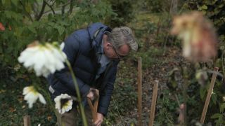 Horst sein Schrebergarten: Dahlien ausbuddeln