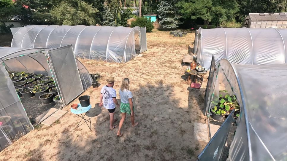 rbb Gartenzeit - Seerosenfarm Langerwisch - Gang durch die Gewächshäuser (Quelle: rbb)