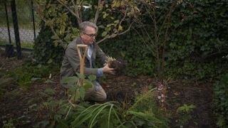 rbb Gartenzeit - Tipps mit Horst - Steppeniris teilen