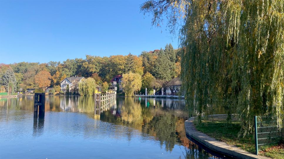 Wasserlandschaft in Woltersdorf (Bild: rbb/ Martina Holling-Dümcke)