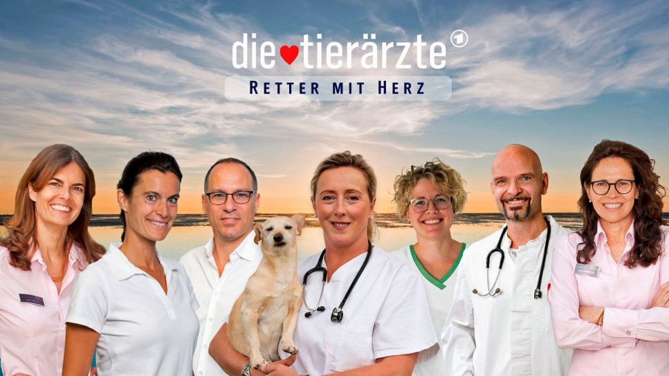 logo Die Tierärzte - Retter mit Herz Logo