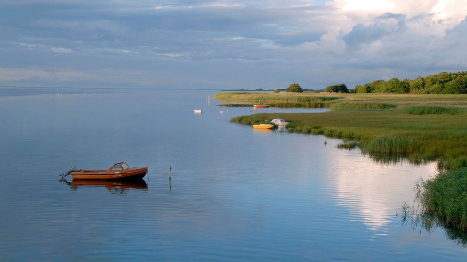 Wildes Skandinavien: Dänemark