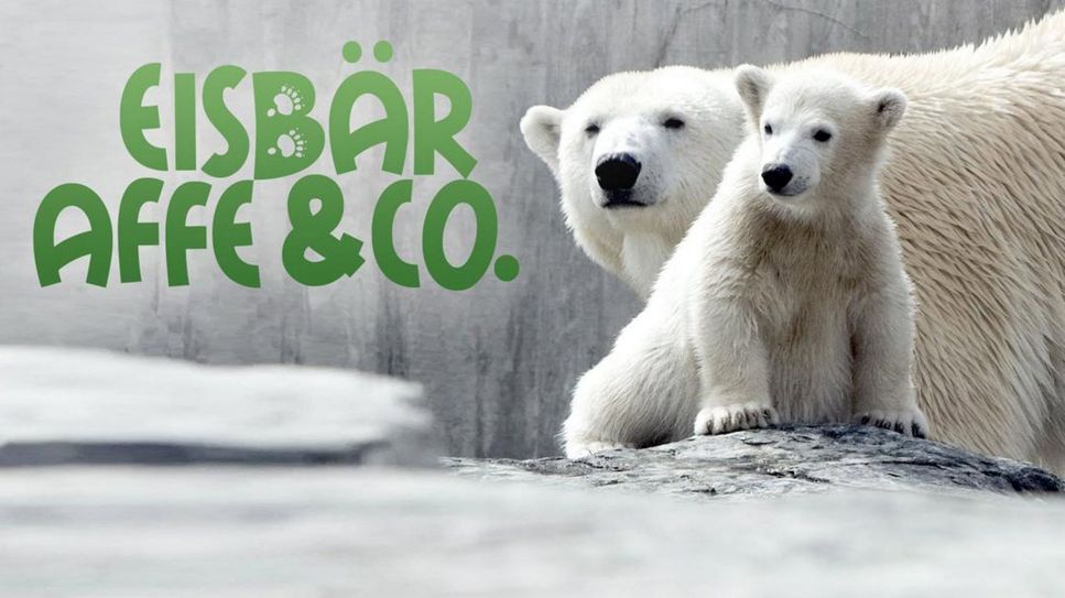 Eisbär, Affe & Co Logo