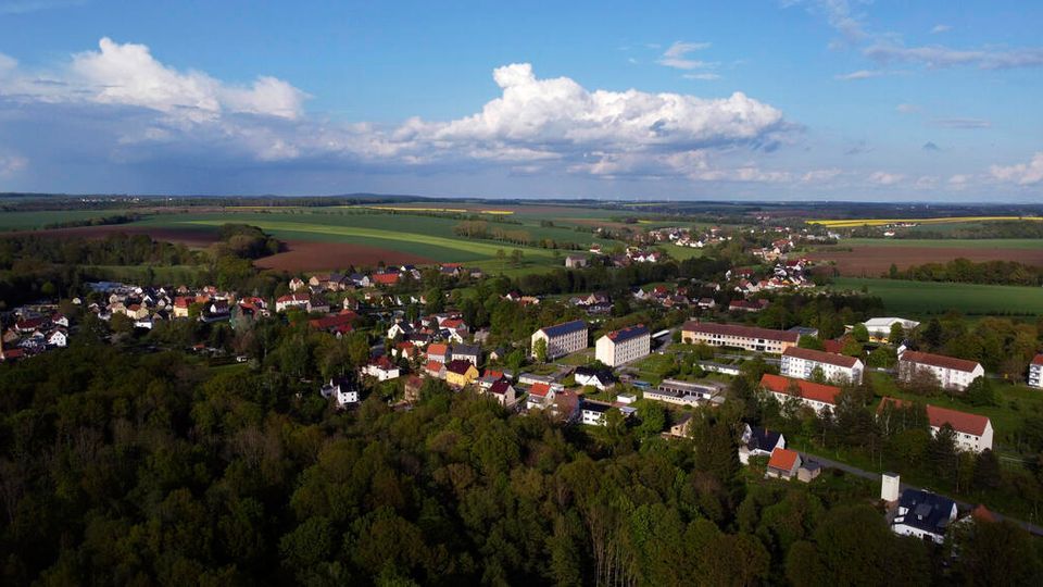 Zimmer frei? Die Baukunst der Spechte