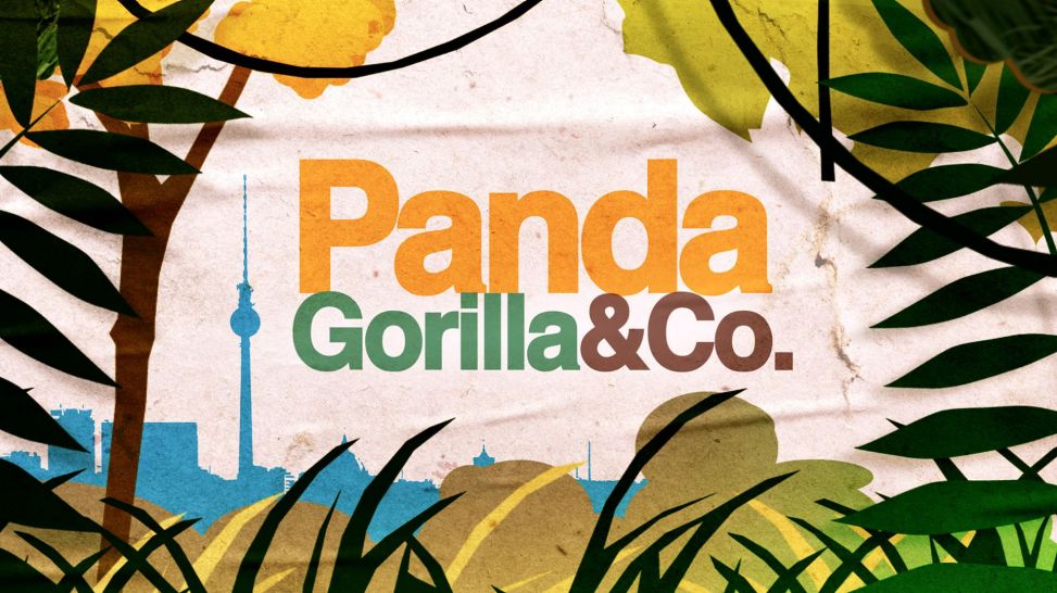 Panda, Gorilla & Co Logo NEU/HD