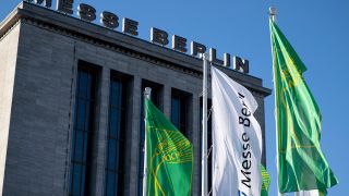 Archivbild: Flaggen mit dem Logo der Internationalen Grünen Messe wehen am 19.01.2023 vor dem Eingang der Messe Berlin. (Quelle: dpa/Fabian Sommer)