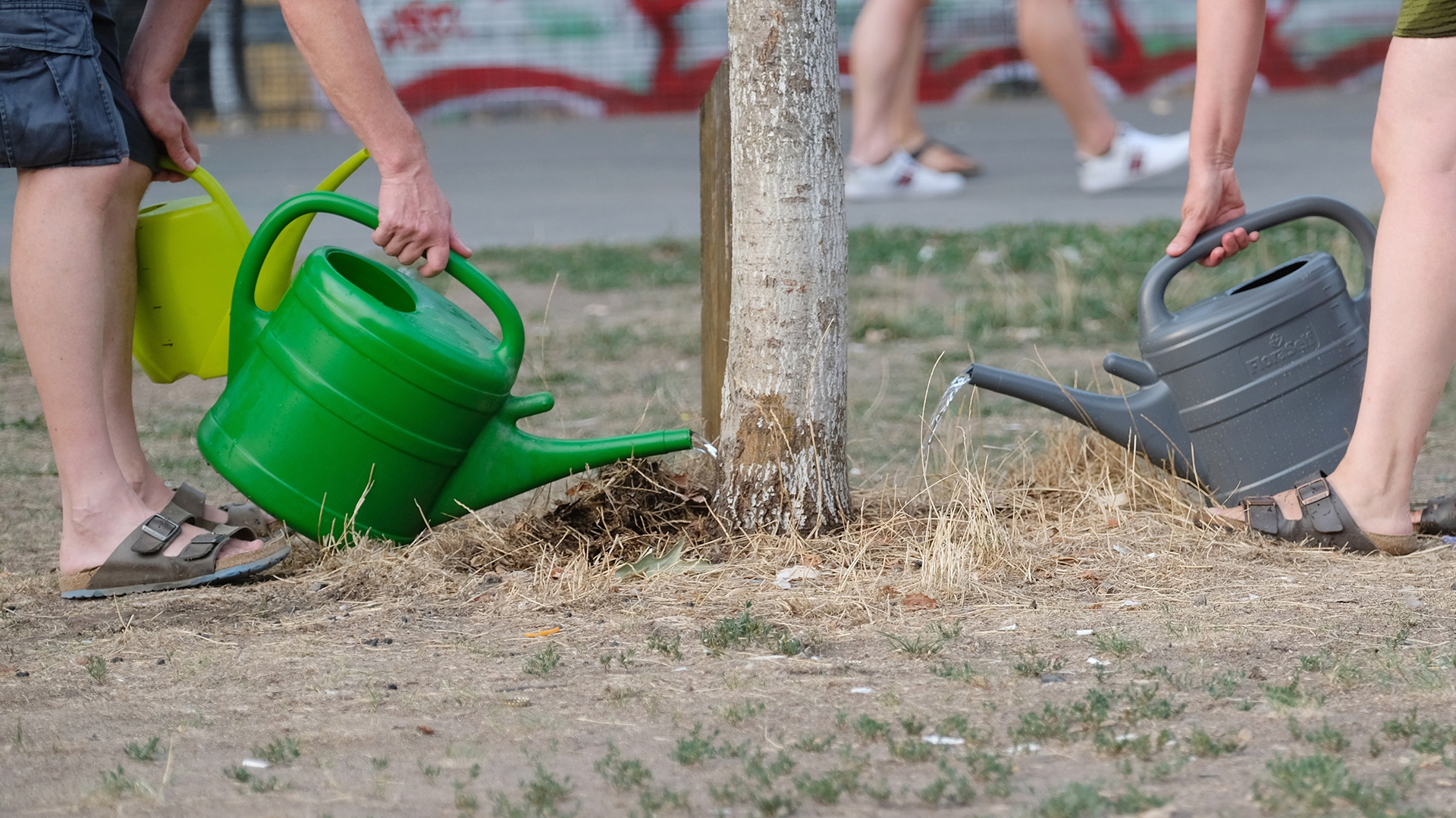 Teilnehmer:innen einer Bewässerungsaktion gießen am 14.08.2022 einen Baum im Lene-Vogt-Park in Leipzig. (Quelle: dpa-Bildfunk/Sebastian Willnow)