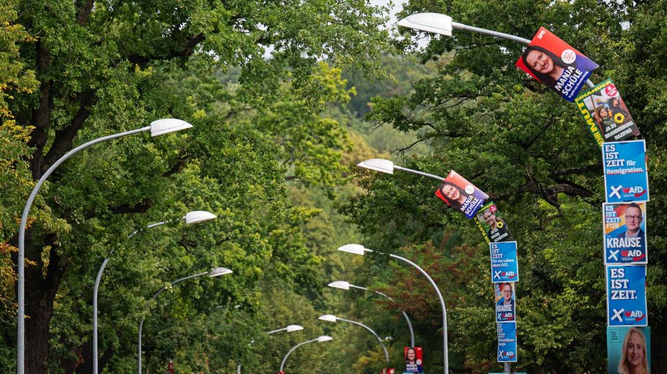 Symbolbild:Wahlplakate der SPD, der Grünen und der AfD hängen in einem Bogen an Straßenlaternen.(Quelle:picture alliance/dpa/S.Gollnow)