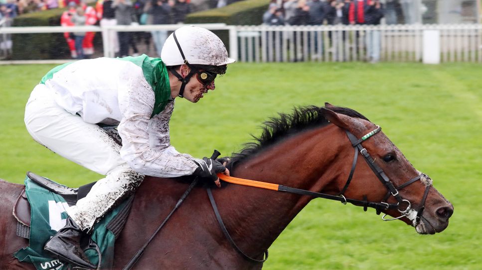 Quest the Moon mit Rene Piechulek beim 34. Preis der Deutschen Einheit auf der Rennbahn Hoppegarten am 03.10.2024 (Bild: Imago/Galoppfoto)